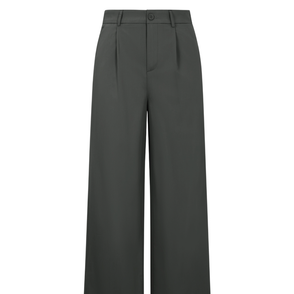 Pantalon broek grijs