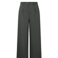 Pantalon broek grijs