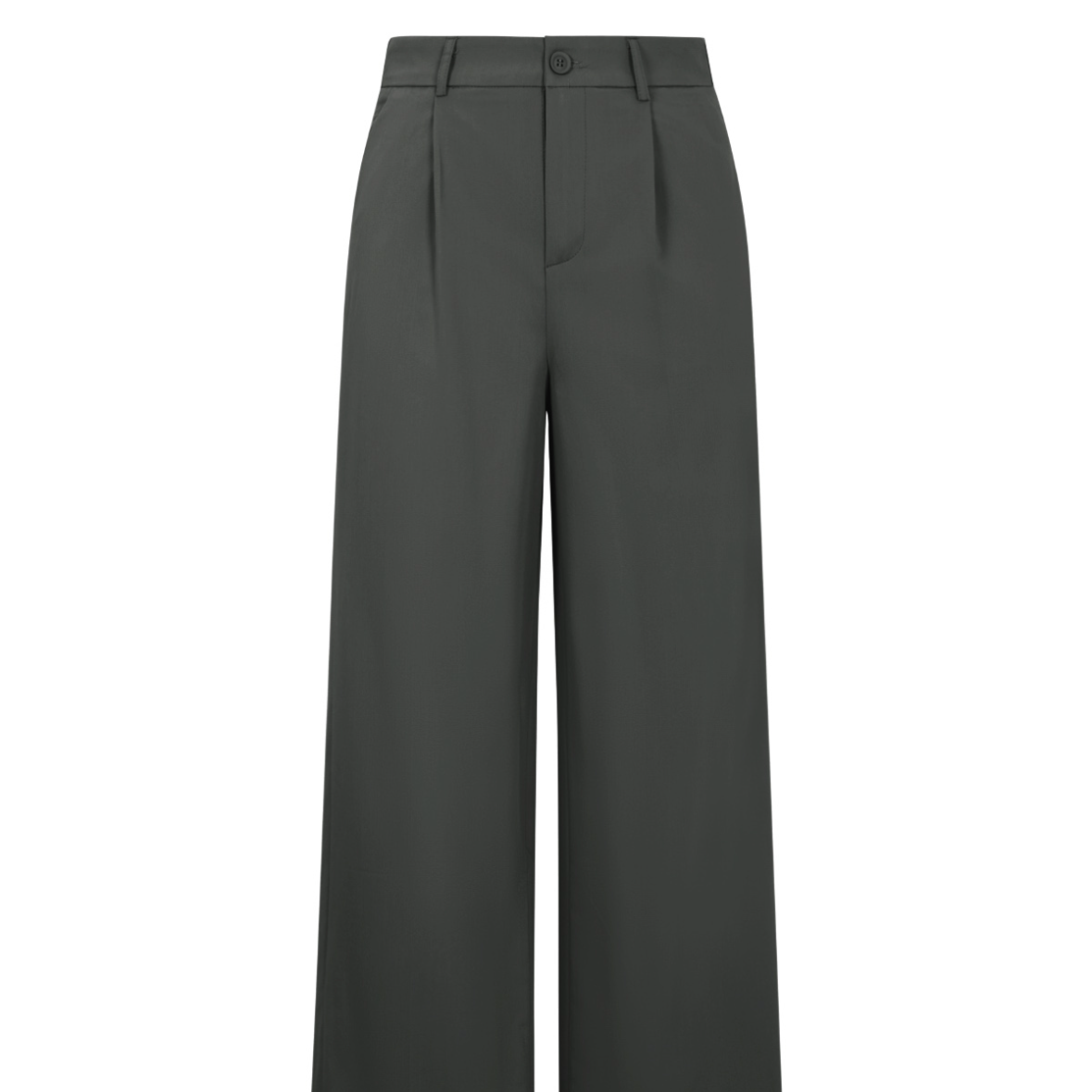 Pantalon broek grijs