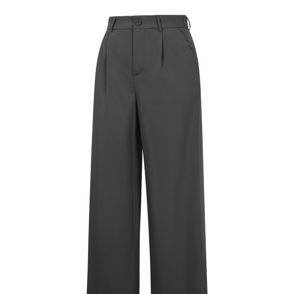 Pantalon broek grijs